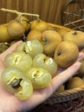 NHÃN BẮP CẢI