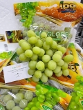 NHO XANH MỸ IPG