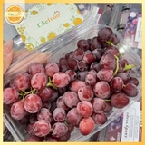 NHO KẸO ĐỎ MỸ CANDY SNAPS