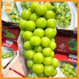 NHO MẪU VIP (thùng 1 chùm 1.3~1.6kg)