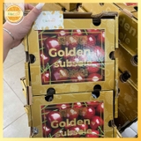 Cherry Chile Golden Subsole 3JD (xách 2.5kg) – Trái To Giòn Ngọt Chuẩn Xuất Khẩu