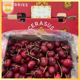 Cherry Chile Cerasus size 4JD – Siêu to, giòn ngọt đậm vị, chuẩn cherry cao cấp (thùng 2.5kg)
