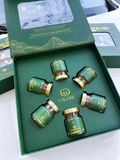 SET YẾN ĐÔNG TRÙNG