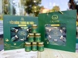 SET YẾN ĐÔNG TRÙNG