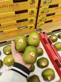 KIWI ĐỎ ĐÀI LOAN