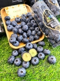 VIỆT QUỐC BLUEBERRIES JUMBO