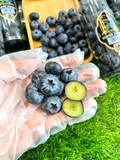 VIỆT QUỐC BLUEBERRIES JUMBO