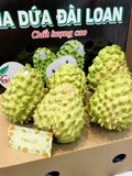 NA DỨA ĐÀI LOAN S5-S6