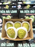 NA DỨA ĐÀI LOAN S7