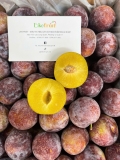Mận mật ong tím Róc Hạt