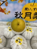 LÊ XANH NHẬT