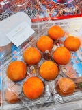 Hồng Thạch Trân Châu