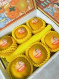 Hồng giòn Japan (Thùng)