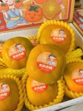 Hồng giòn Japan (Thùng)