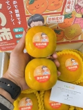 Hồng giòn Japan (Thùng)
