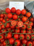 Cà chua cherry đỏ - cà chua chuỗi ngọc