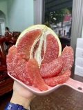 Bưởi đỏ Phúc Kiến