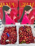 NHO ĐỎ NỮ HOÀNG NINA