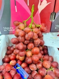 NHO ĐỎ NỮ HOÀNG NINA