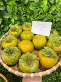 Hồng giòn đà lạt