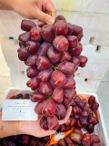 Nho mẫu đơn Đỏ Tím