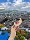 Đào tuyết Lệ Giang (Kg lẻ)