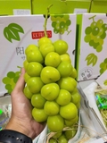Nho sữa giống Nhật Vip - thùng 2 chùm