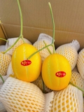Dưa lê giống hàn
