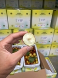 Hồng Táo Cô Tiên Xanh (Thùng 1.5kg)