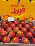 Táo JOYA size 100