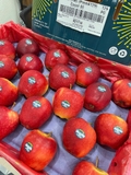 Táo Dazzel Size 88 – Giòn Ngọt Cân Bằng, Thơm Mát Tự Nhiên | Táo Nhập Khẩu Like Fruit