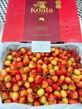 Cherry Vàng Koala Úc – Ngọt Thanh, Giòn Mọng, Chuẩn Cao Cấp