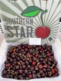 Cherry Úc Southern Size lớn – Trái Tươi Giòn Mọng, Ngọt Sâu Chuẩn Chất Lượng Cao Cấp