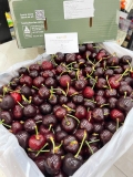 Cherry Úc Southern Size lớn – Trái Tươi Giòn Mọng, Ngọt Sâu Chuẩn Chất Lượng Cao Cấp
