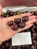 Cherry Úc RISE Size lớn – Trái Tươi Giòn Mọng, Ngọt Sâu Chuẩn Chất Lượng Cao Cấp