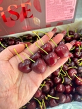 Cherry Úc RISE Size 26 – Trái Tươi Giòn Mọng, Ngọt Sâu Chuẩn Chất Lượng Cao Cấp