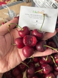 Cherry Chile 2JD – Siêu Giòn, Ngọt Đậm, Tươi Ngon Chuẩn Đầu Mùa