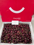 Cherry đỏ úc Hill Regina 26-28 – Trái Tươi Giòn Mọng, Ngọt Sâu Chuẩn Chất Lượng Cao Cấp