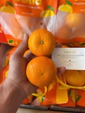 Quýt Túi Jolie 1kg – Quýt Ngọt Mọng Nước, Tươi Chuẩn Nhập Khẩu | Like Fruit