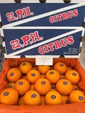 QUÝT 2PH - S42
