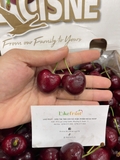 Cherry Chile Elcisne Xách 2.5kg – Cherry Nam Mỹ Tươi Ngọt, Quà Biếu Sang Trọng