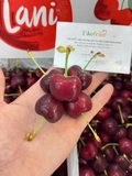 Cherry New Zealand Lani (Hộp 2kg) – Ngọt Đậm Tự Nhiên, Trái To Giòn Mọng