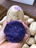 Khoai Lang Tím Úc Trồng Tại Việt Nam – Dẻo Bùi, Ngọt Tự Nhiên (Thùng 3kg)