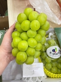 Nho Mẫu Đơn Hàn Quốc (Shine Muscat) – Cao Cấp, Không Hạt, Thơm Đậm Vị