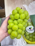 Nho Mẫu Đơn Hàn Quốc (Shine Muscat) – Cao Cấp, Không Hạt, Thơm Đậm Vị