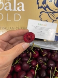 Cherry Đỏ Úc Koala S26 – Trái To Giòn Ngọt, Hàng Cao Cấp Tại Likefruit