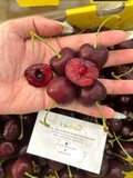 Cherry Chile Lucila Size 3J Xách Tay 2.5kg – Trái Siêu To, Ngọt Đậm, Giòn Căng Nước | Like Fruit