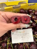 Cherry Chile Lucila Size 3J Xách Tay 2.5kg – Trái Siêu To, Ngọt Đậm, Giòn Căng Nước | Like Fruit
