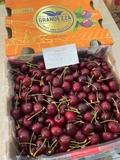 Cherry Chile Santina Grand Cam XL – Xách 2.5kg | Giòn Ngọt, Chuẩn Cherry Nhập Khẩu Cao Cấp