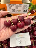 Cherry Chile Santina Grand Cam XL – Xách 2.5kg | Giòn Ngọt, Chuẩn Cherry Nhập Khẩu Cao Cấp